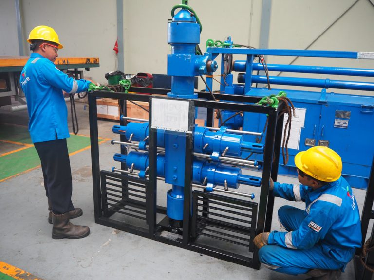 Well Intervention & Well Testing Truelogs Group